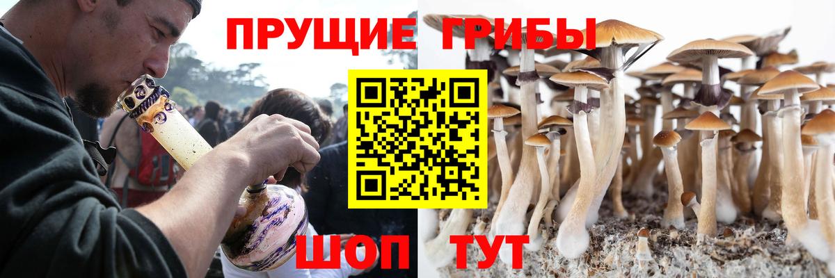 Галлюциногенные грибы ЛСД  Вход с VPN  Нефтекумск 
